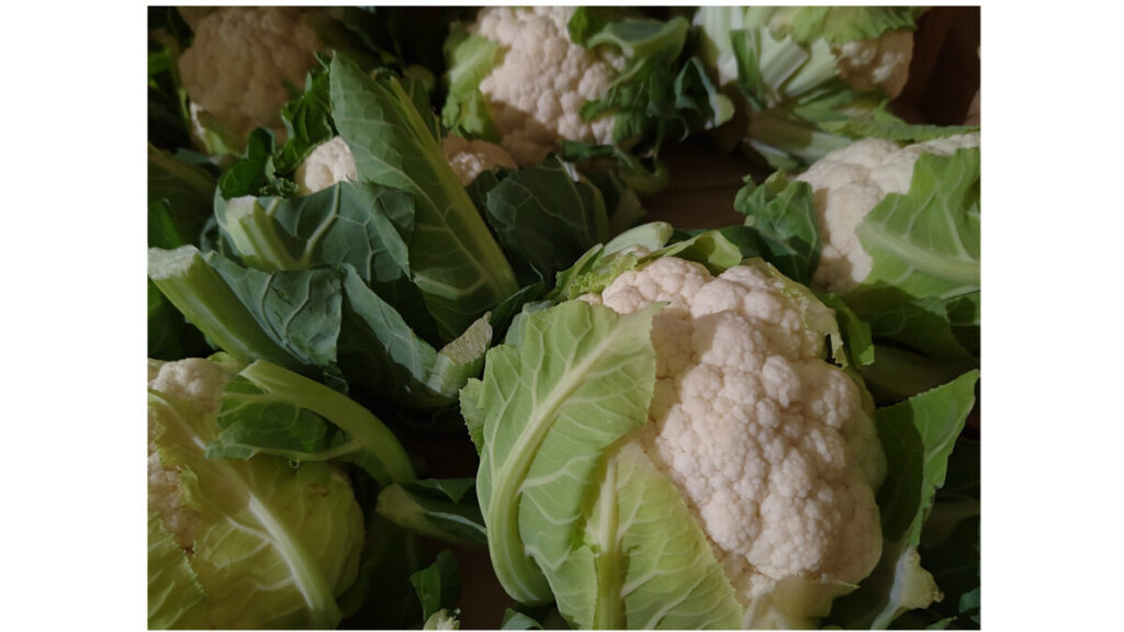 ORGANIC CAULIFLOWERS
