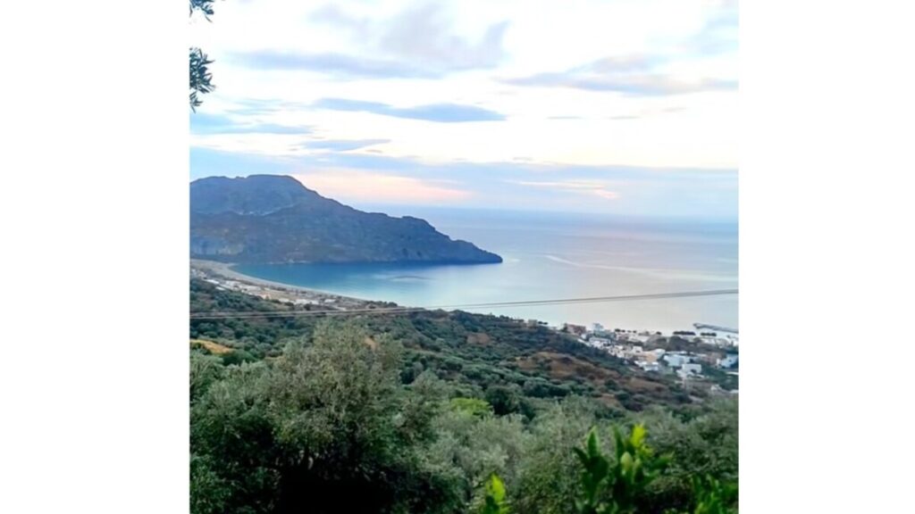 Vilken underbar dag att skörda och pressa oliver till olivolja