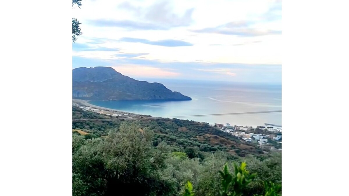 Vilken underbar dag att skörda och pressa oliver till olivolja