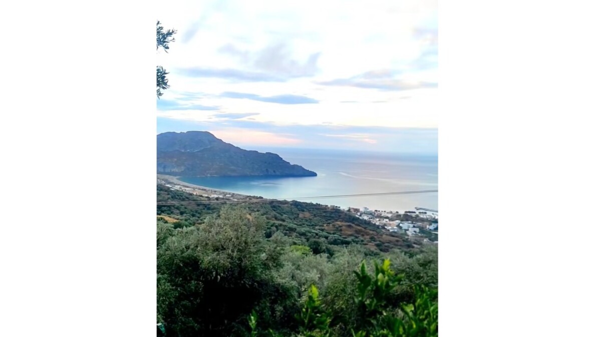 Vilken underbar dag att skörda och pressa oliver till olivolja