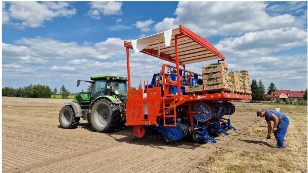 Planting tomatoes with the Ferrari Futura automatic planter. What is Piotr Zieliński’s opinion?
