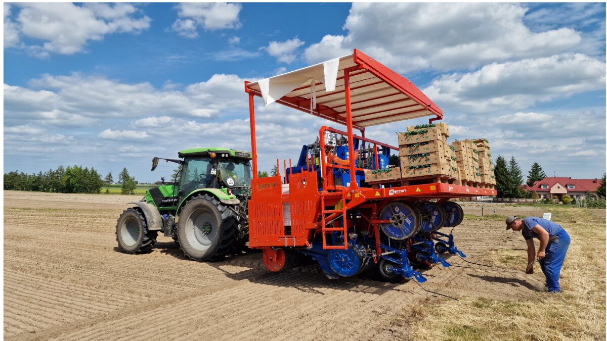 Planting tomatoes with the Ferrari Futura automatic planter. What is Piotr Zieliński’s opinion?