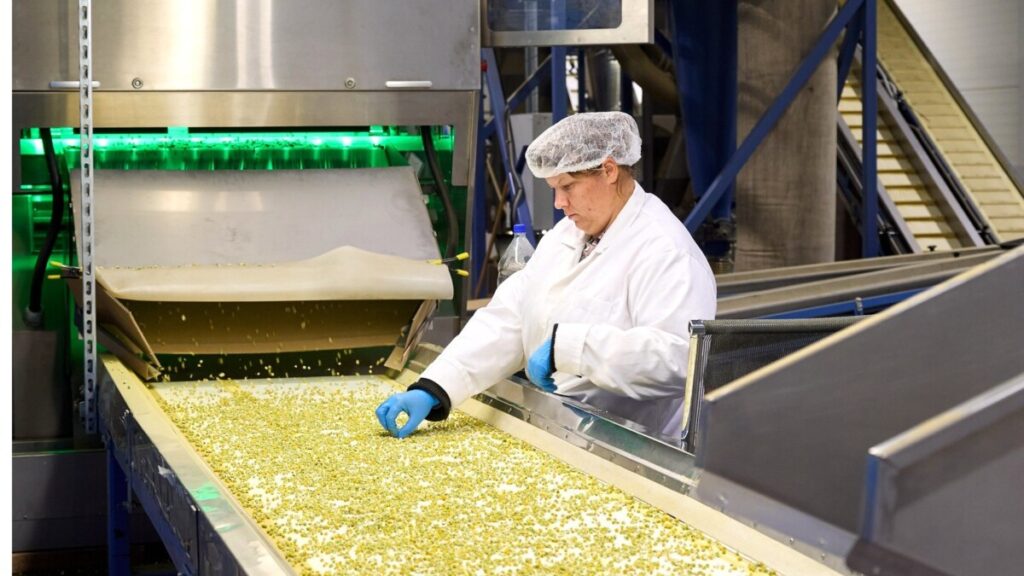 De torra formerna av tyska kamomillprodukter