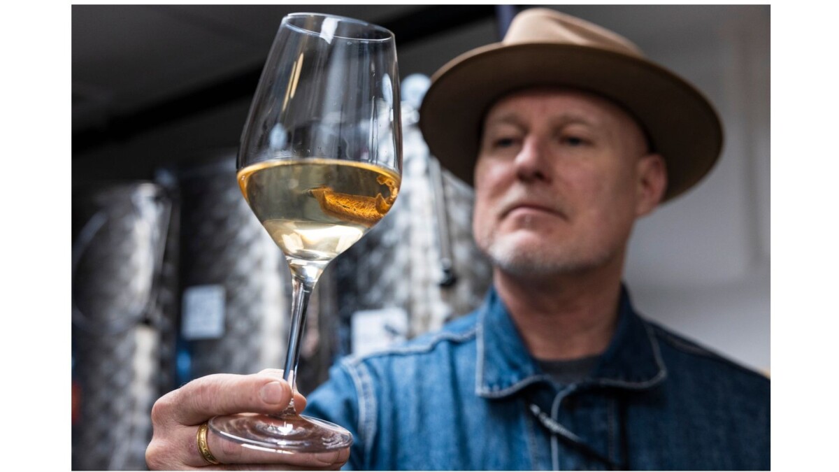 They turn discarded wine into innovative wine and spirits