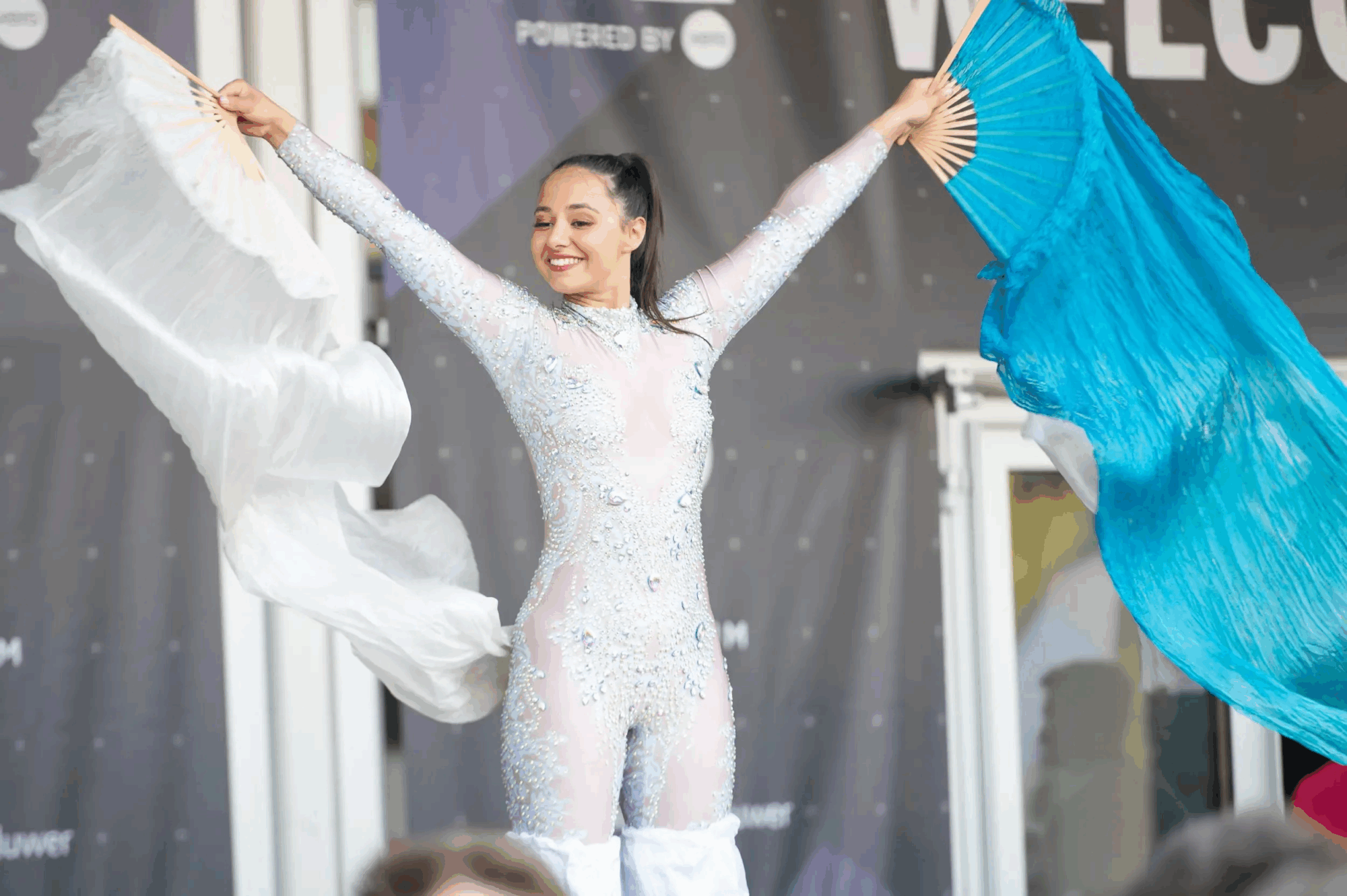 digital-accountancy-show-night-show-entertainment