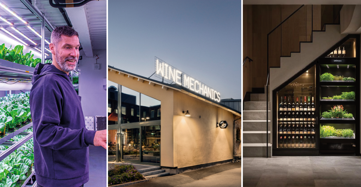 Martin Wall från fortografiska och Wine Mexhanics pratar härproducerat i artikel