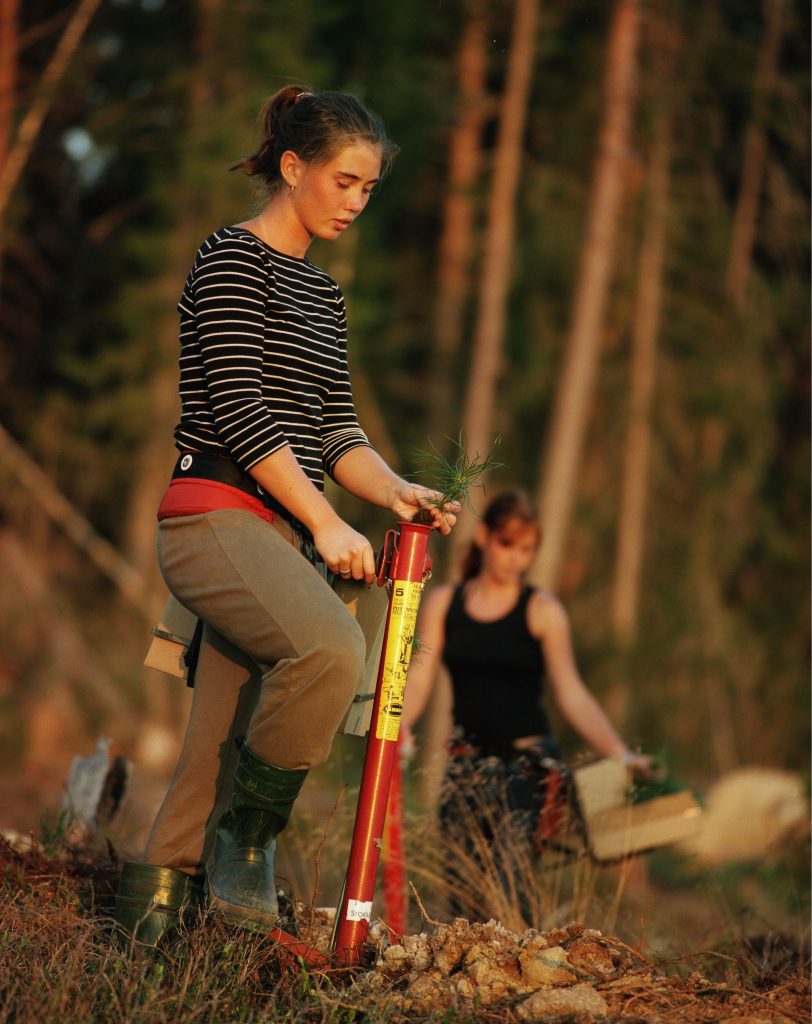 PEFC Duurzame Verpakking