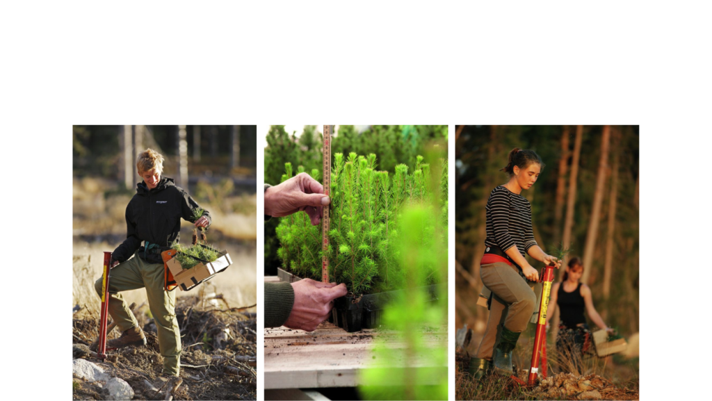 PEFC Duurzame Verpakking