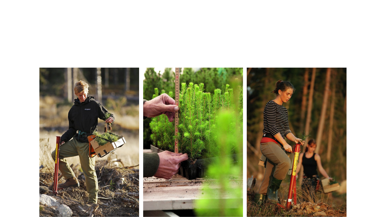 PEFC Duurzame Verpakking