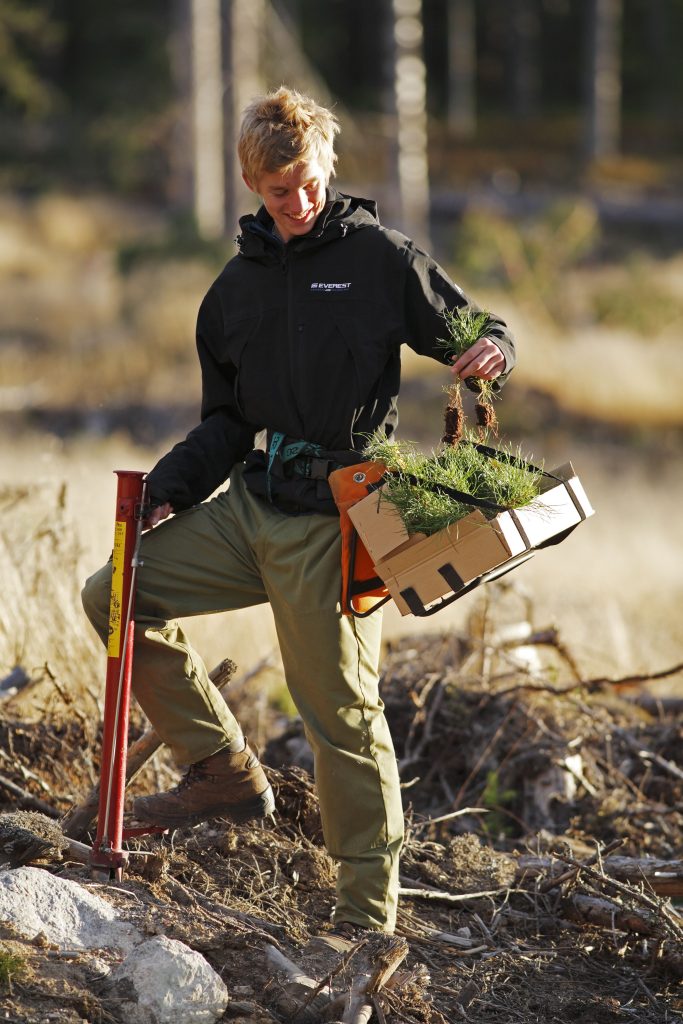 PEFC Duurzame Verpakking