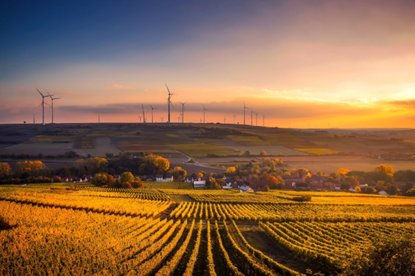 Circular Bio-based Europe