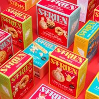 FH-2007-Van-Strien--495x400