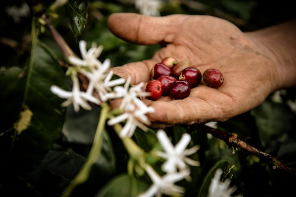 Nespresso Country: Colombia