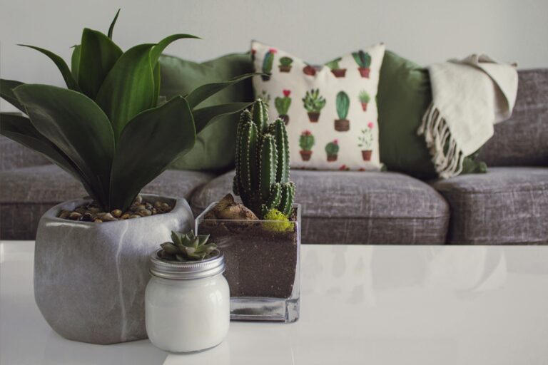 Planten op koffietafel voor zetel