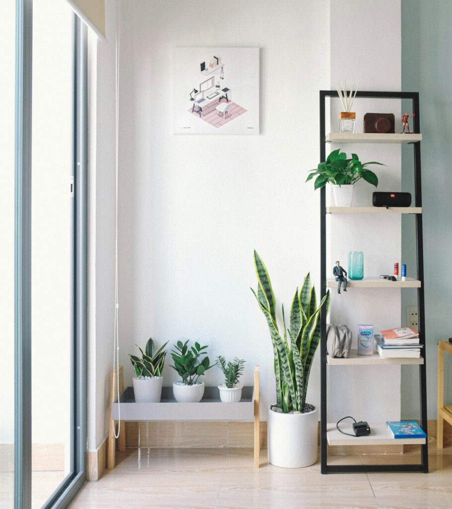 Planten als decoratie in huis