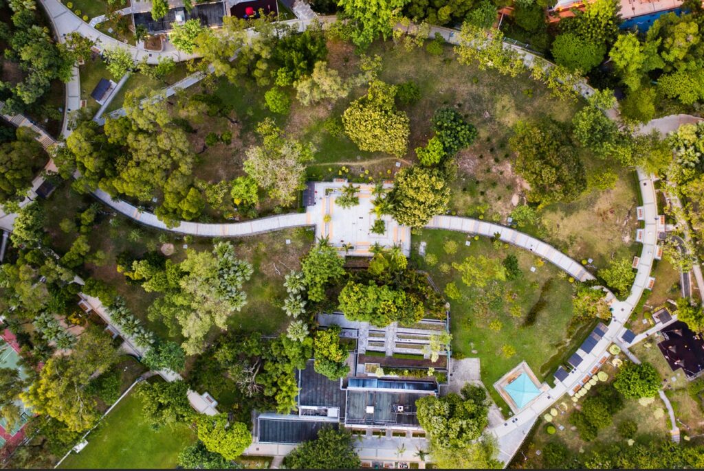 cohousing,cohousen,waarom,wettelijk,kader,voordelen,aandachtspunten