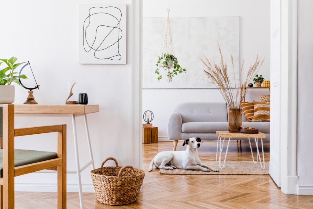 minimalistisch interieur met hond