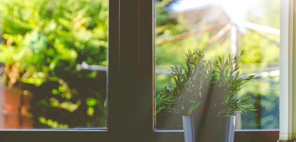 Zon dat door een raam schijnt met een plantje voor