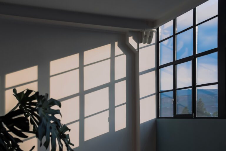 Raam met zonlicht en plant in de hoek
