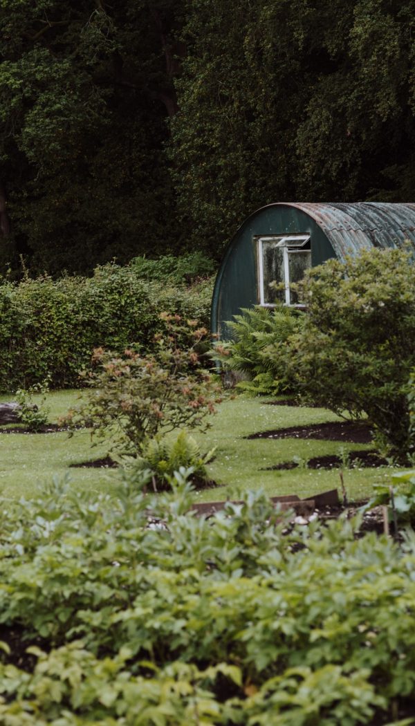 Tuin met serre