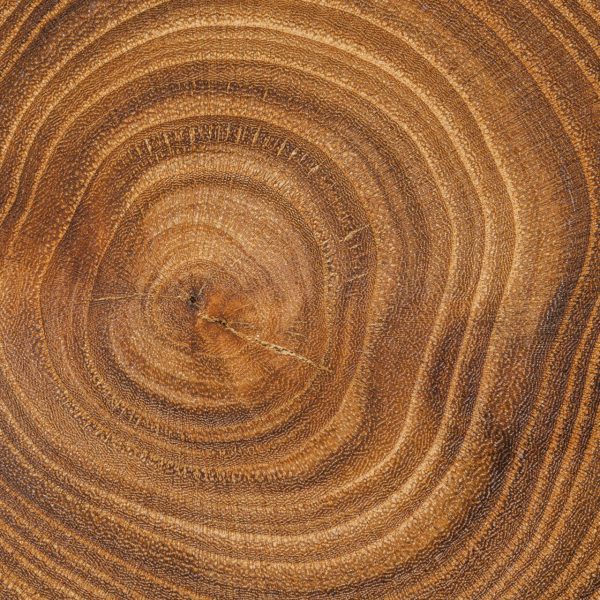 Hout