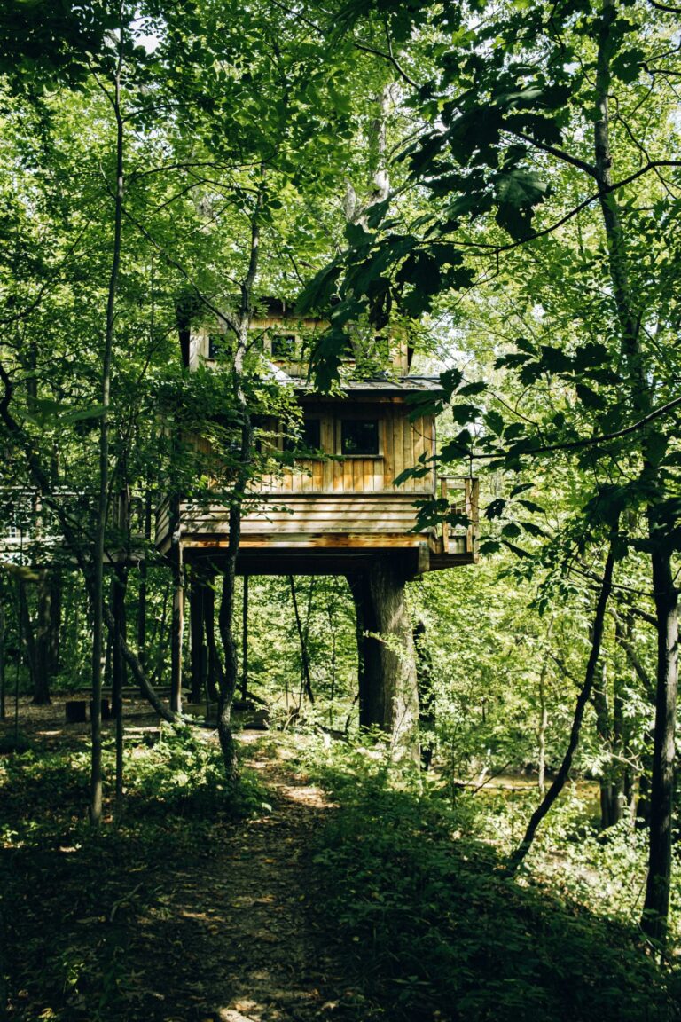 Een boomhut in het bos.