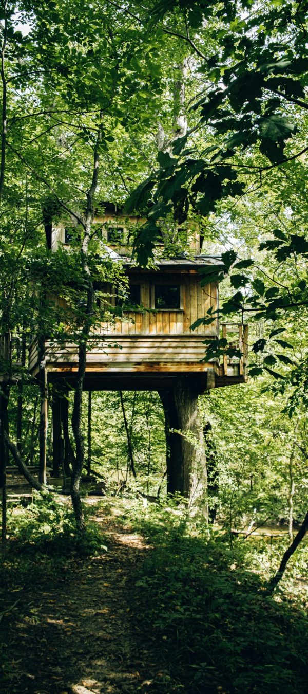 Een boomhut in het bos.