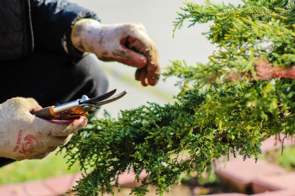 tuin lenteklaar maken