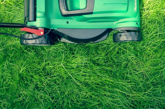 tuinadvies over gras maaien