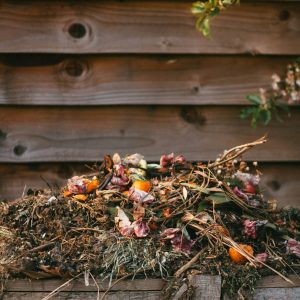 Compost locatie
