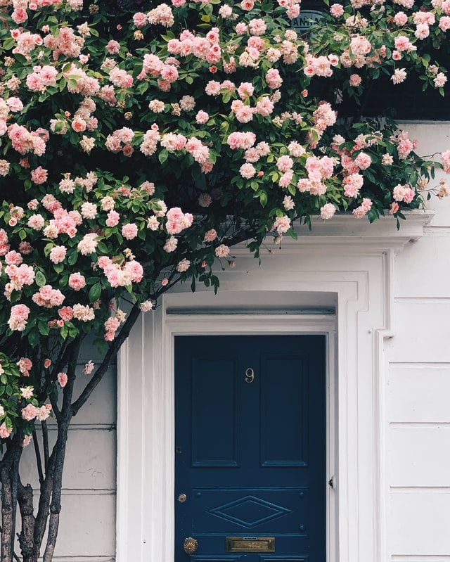 Geveltuin met bloemen