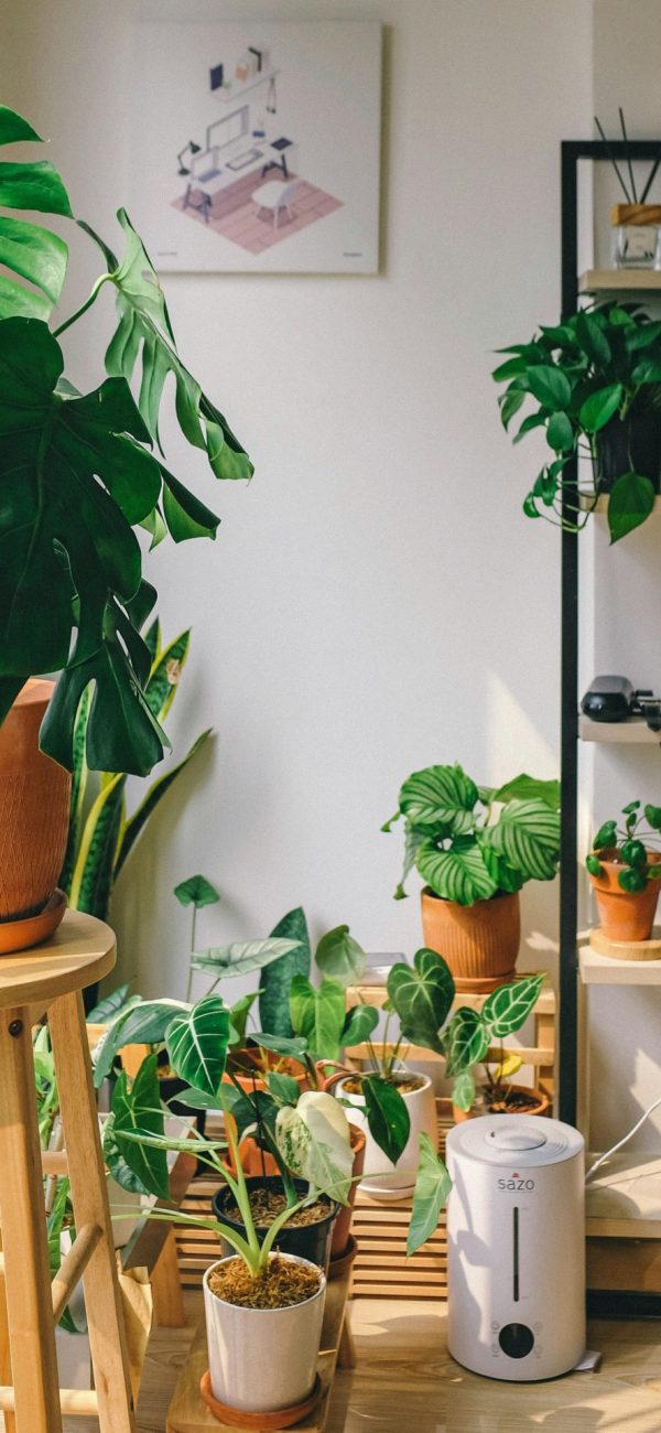 Verloren ruimte in kamer opgevuld met planten