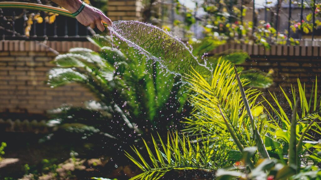 water besparen in tuin