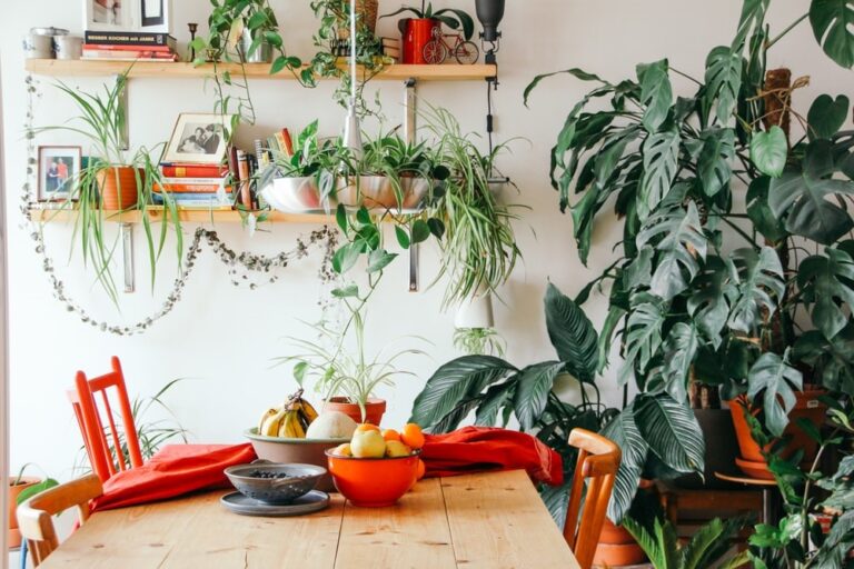 kamer vol planten