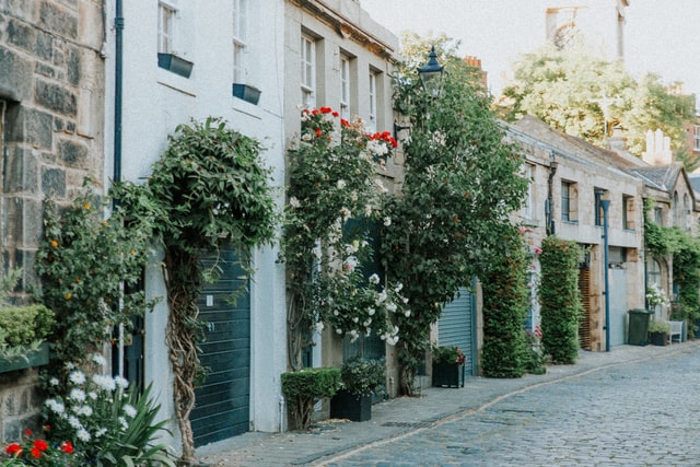 straat vol geveltuinen