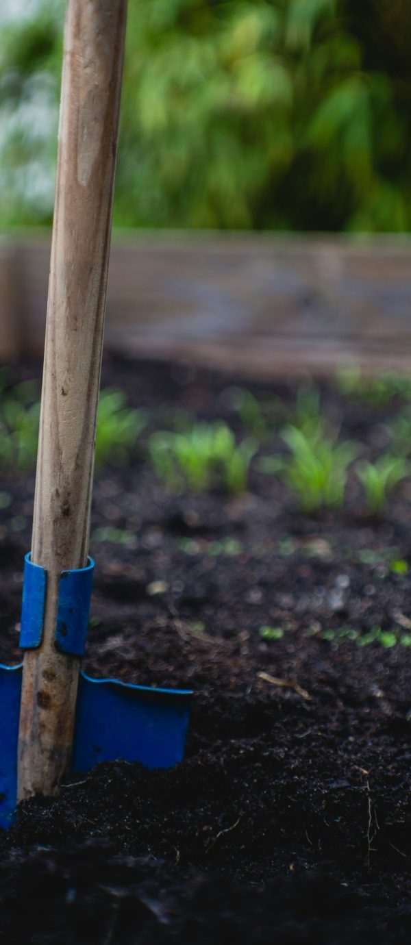Een schop in de aarde van een moestuin.