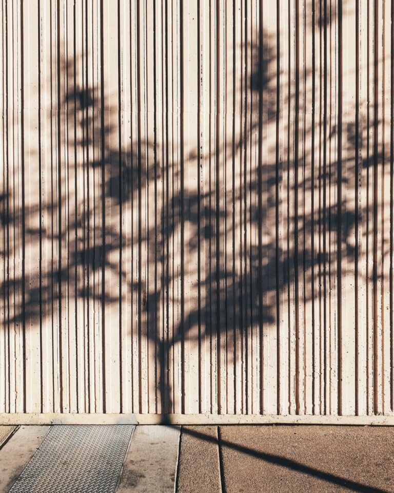 houten muur schutting