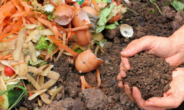 Compost wat mag er in