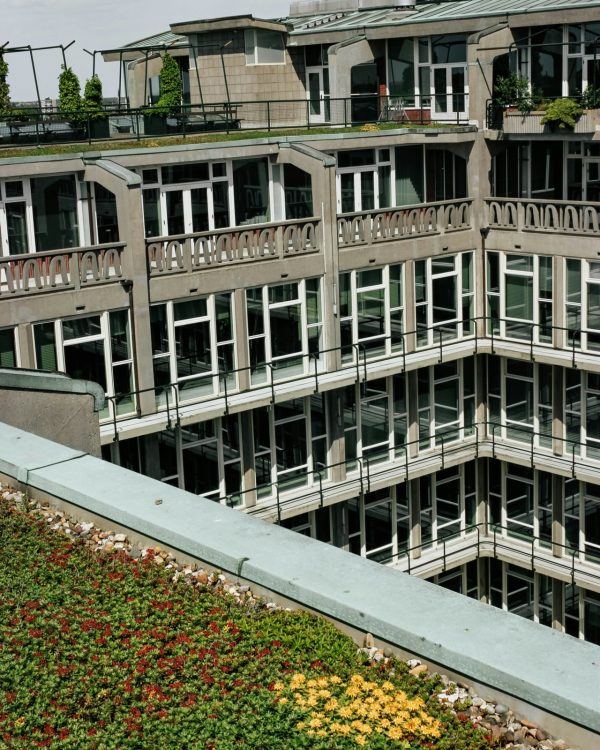 Groendak met vetplanten op appartement