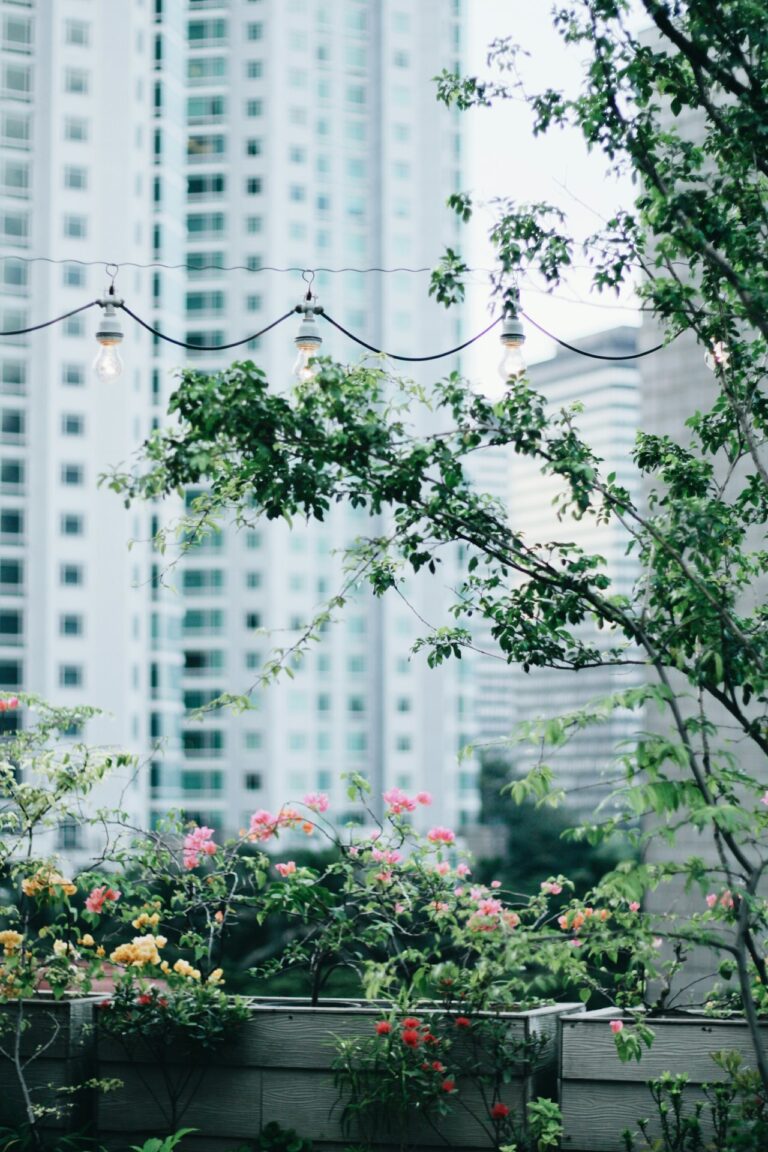 Groendak met planten en struik