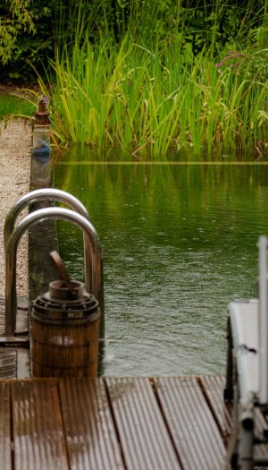 Zwemvijver