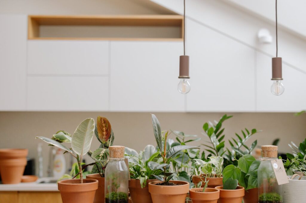 Een verzameling groene planten en kruiden in terracotta bloempotten die zich in de keuken bevinden.