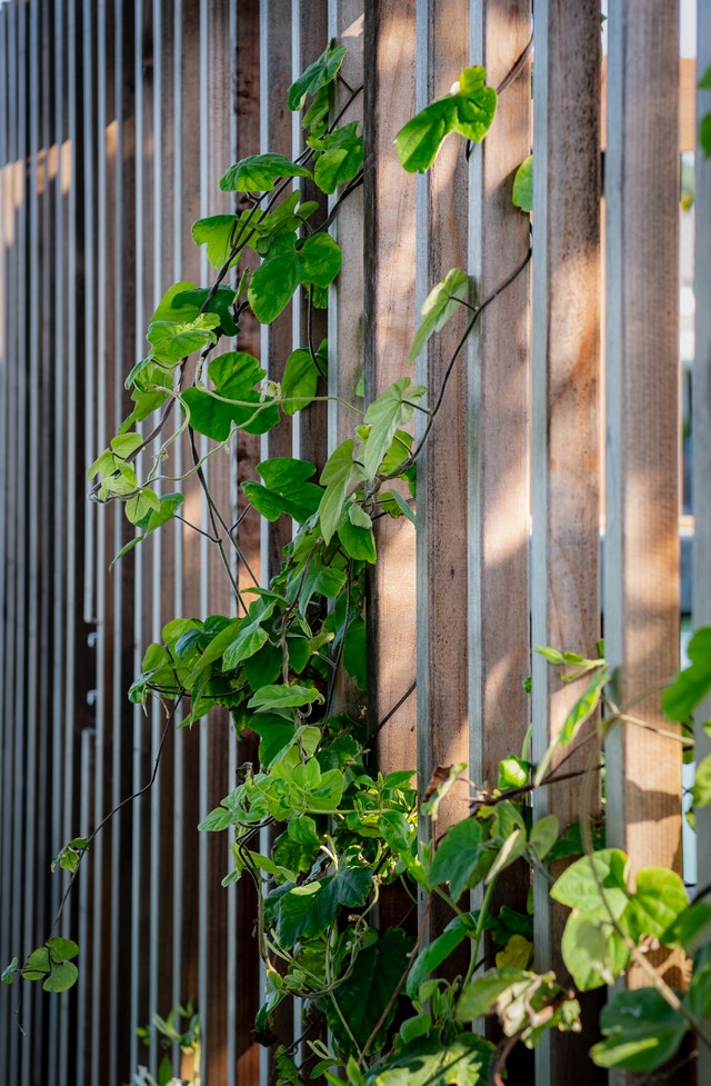 houten tuinscherm