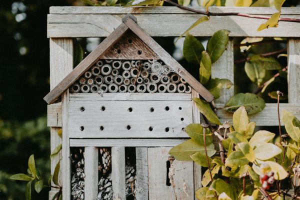 Insecten Hotel