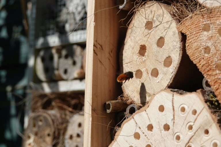 Insecten Hotel