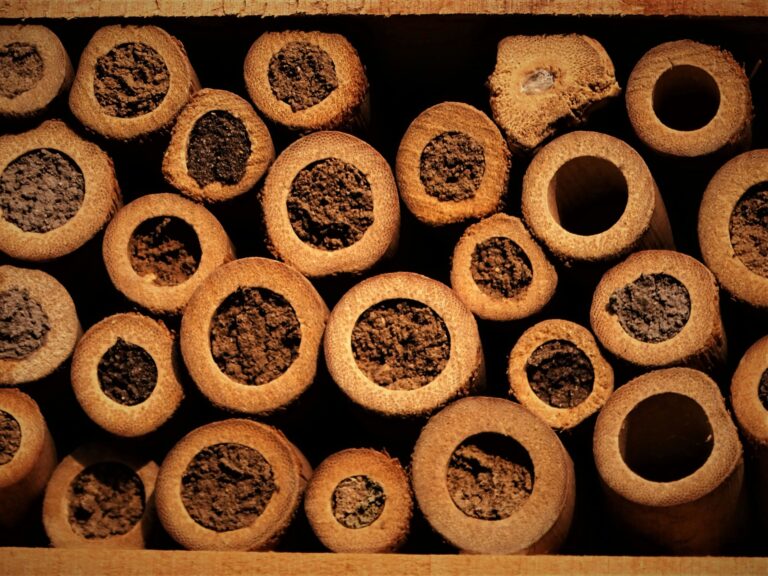 Insecten hotel
