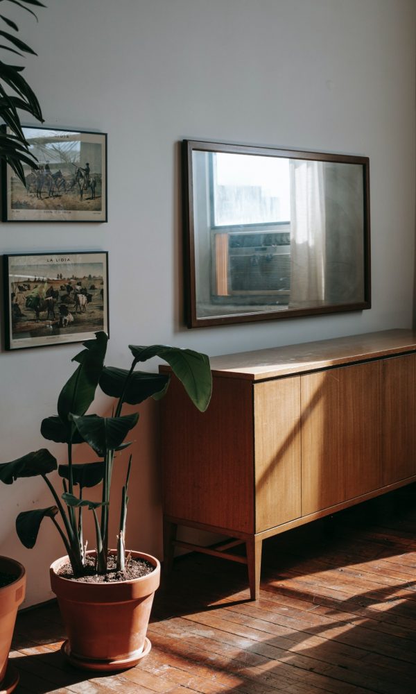 Vintage interieur met houten kast en plant