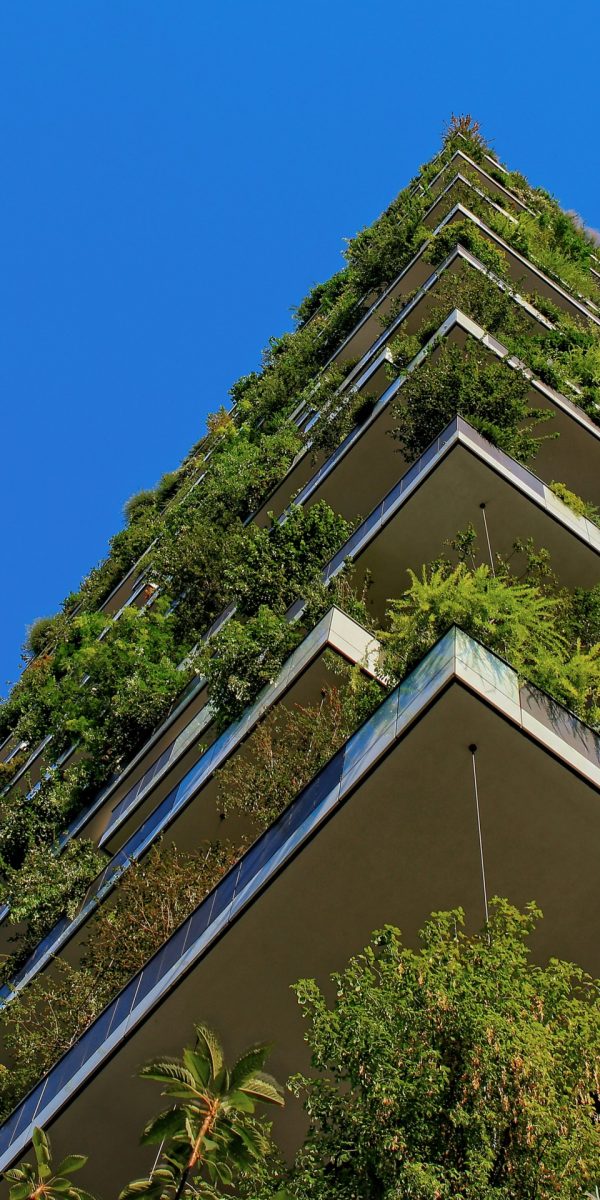 Een appartementsgebouw met veel groen.