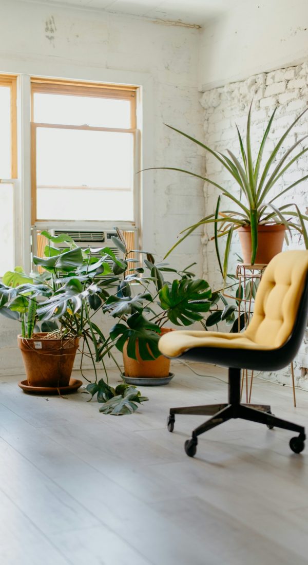 Een natuursteenmuur met planten naast een bureaustoel in natuurkleuren