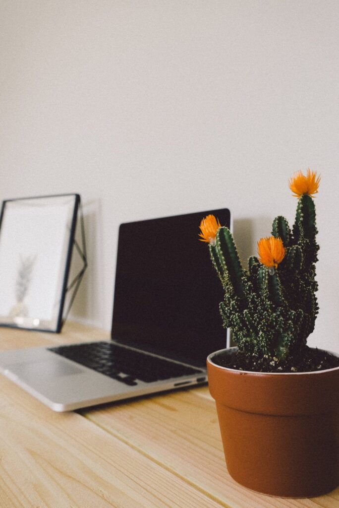 thuiskantoor met cactus en laptop